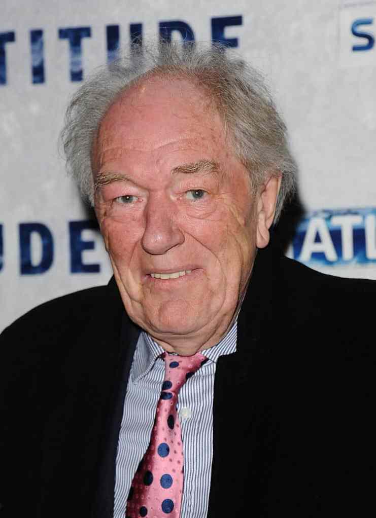 ‘Harry Potter’ Actor Michael Gambon Has Died After Pneumonia Battle