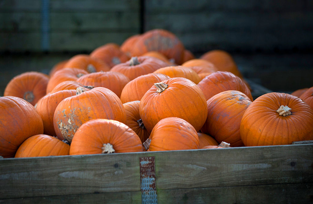 White Woman Charged With Attacking A Black Man With A Pumpkin