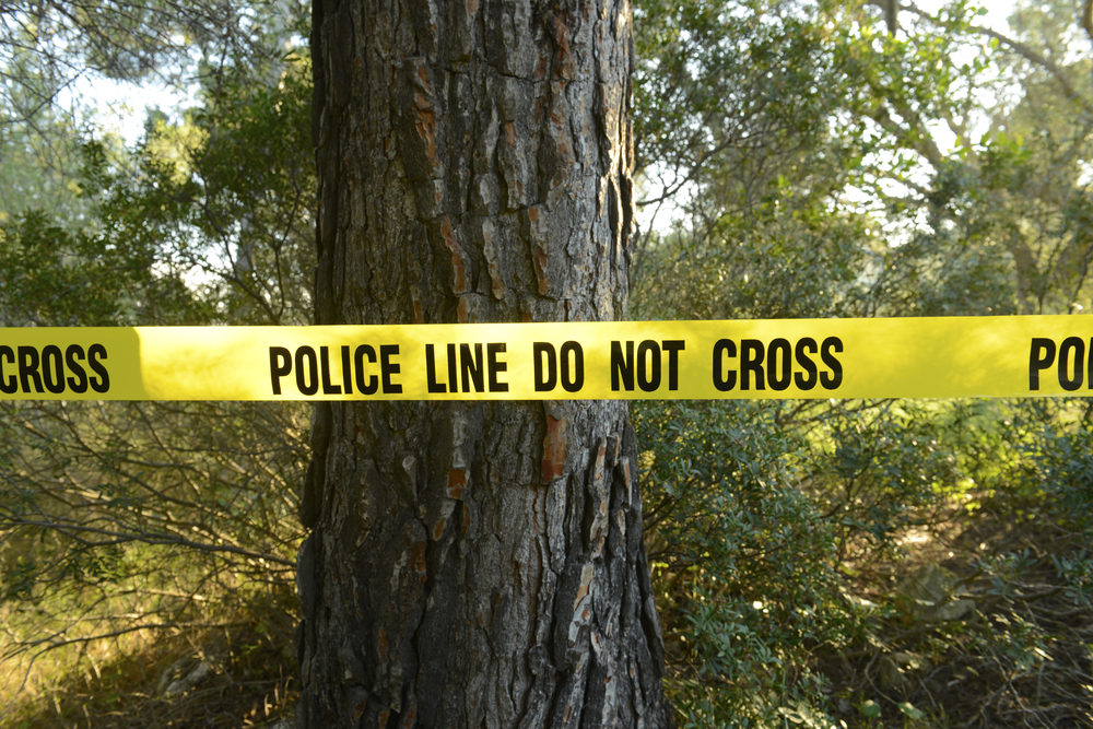 A Black Man Was Found Hanging From A Tree In North Georgia